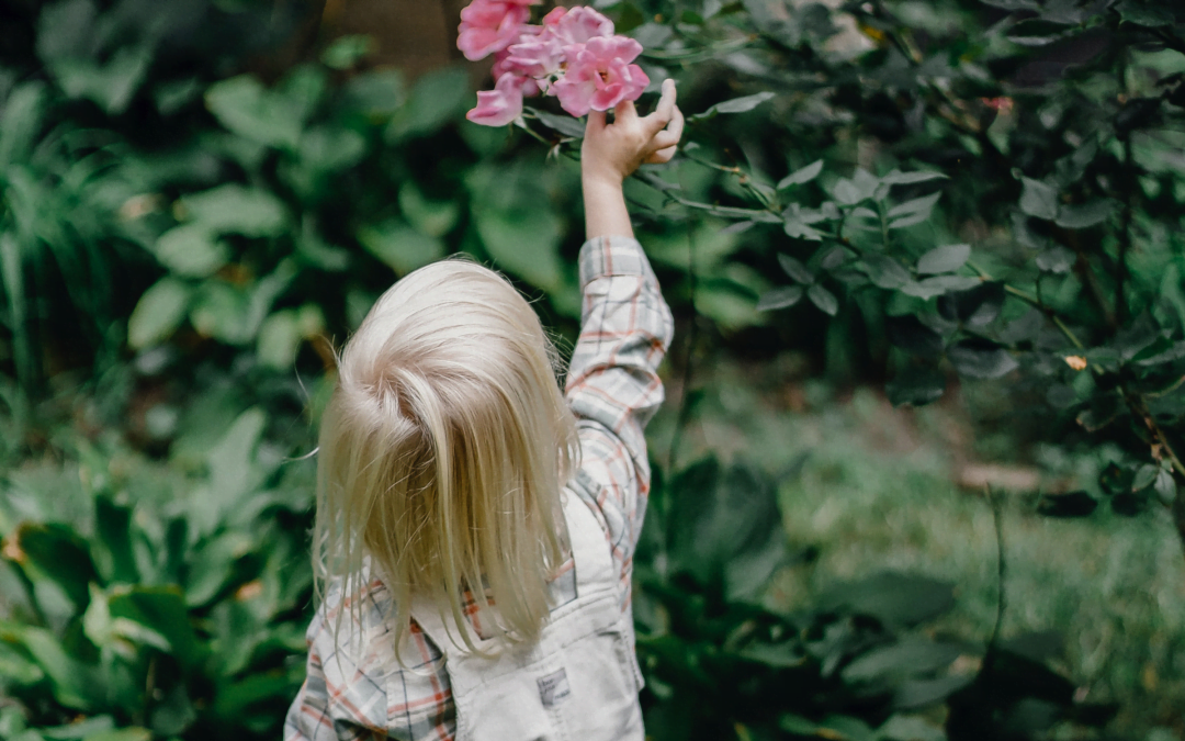 Poème « Si tu prives ton enfant d&rsquo;affection… »